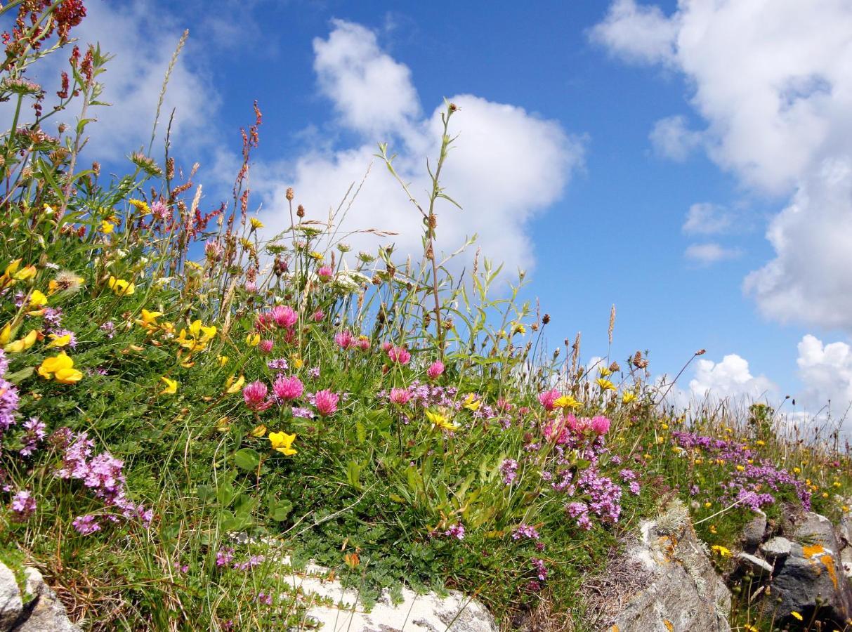 Meadow Cottage ベルマレット エクステリア 写真